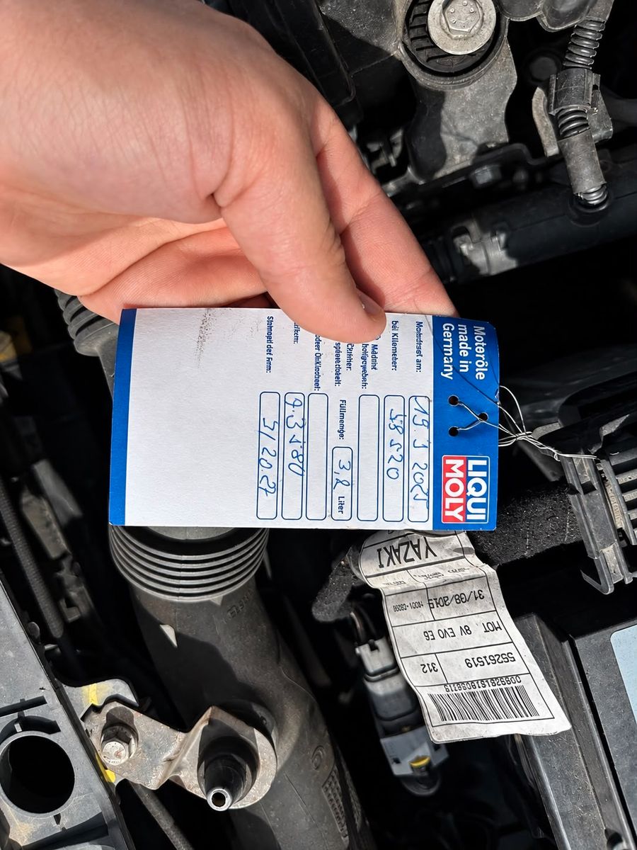 Fiat Panda – Bild 19